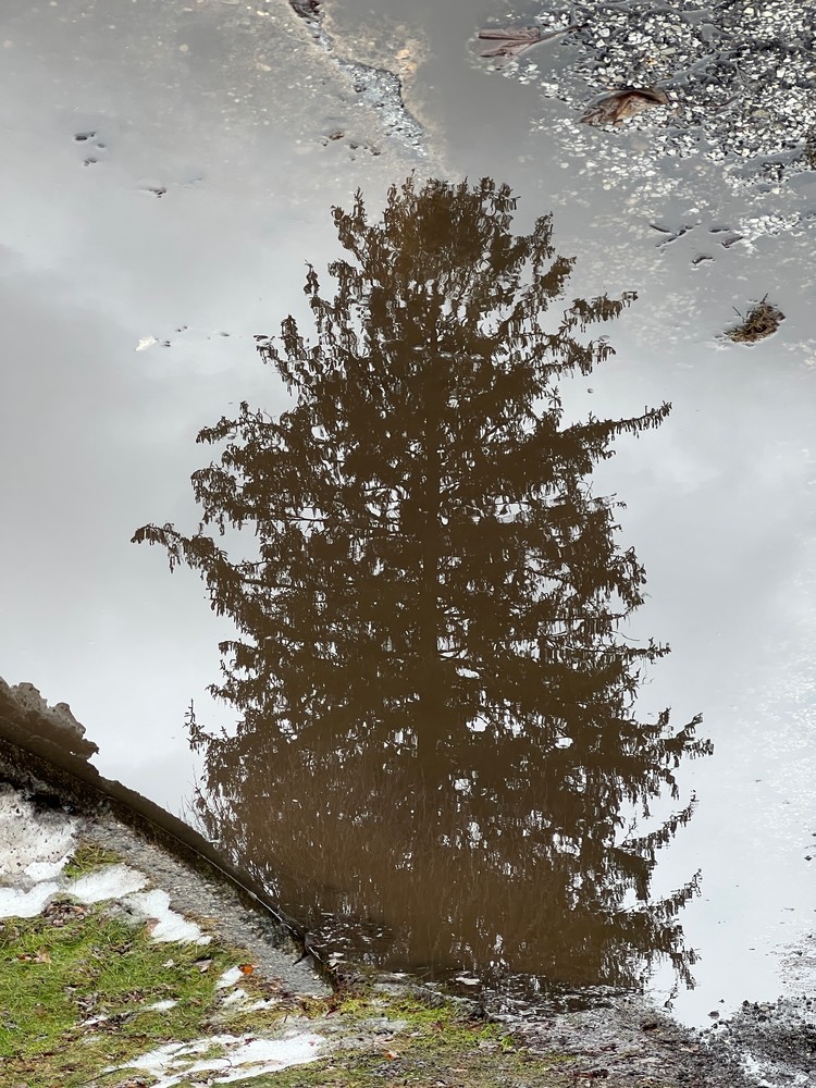 Puddle Puzzle   An Image To Pine For Photography Art | arevolt64