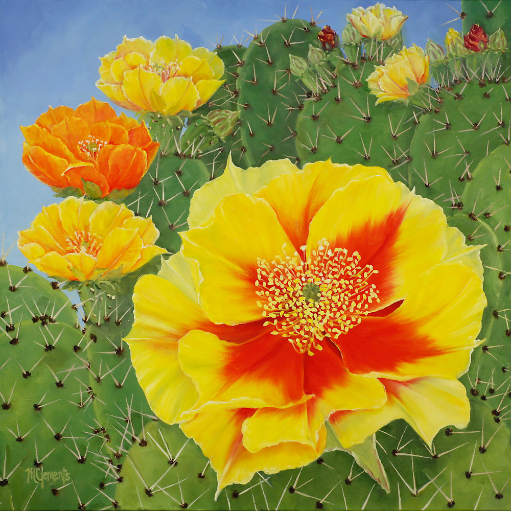 Dc Canyon Cactus Art | Marsha Clements Art