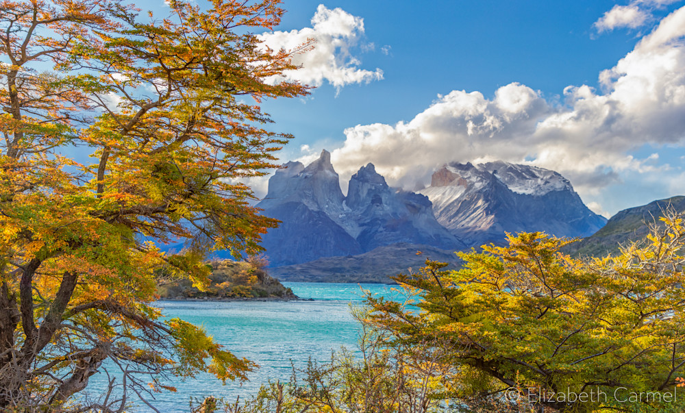 Autumn In Patagonia Art | The Carmel Gallery