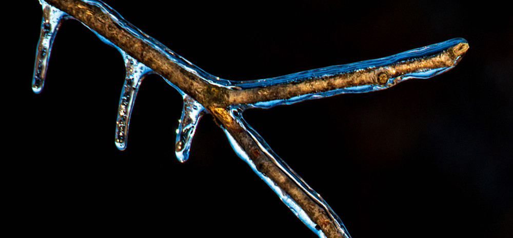 "Icy Twig" (1) Photography Art | Gary Brenner Photography