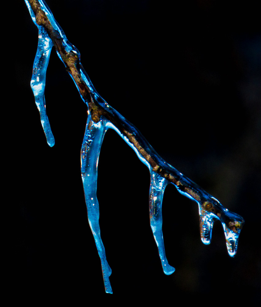 "Icy Twig" (5) Photography Art | Gary Brenner Photography
