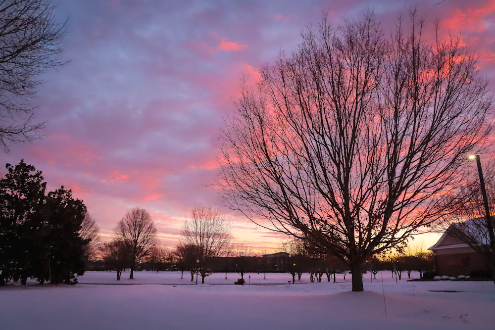 Wannabe Naturalist Snow at sunrise in Mooresville | Eugene L Brill