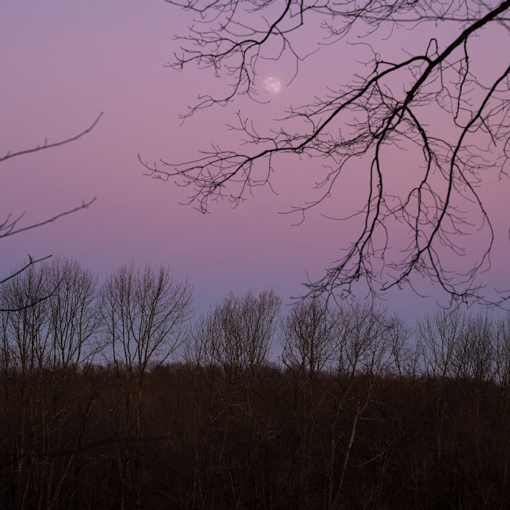 Purple Moon Rising Photography Art | Kim Bova Photography