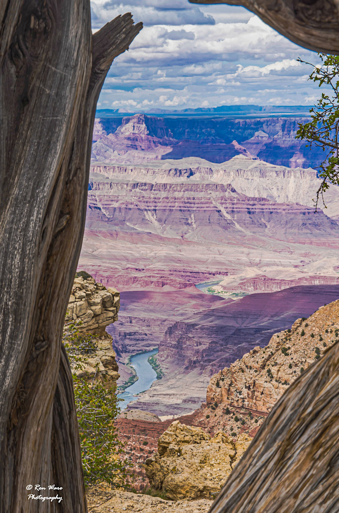 Tree Framed Pinal Point View Art | Ron Ware Photography