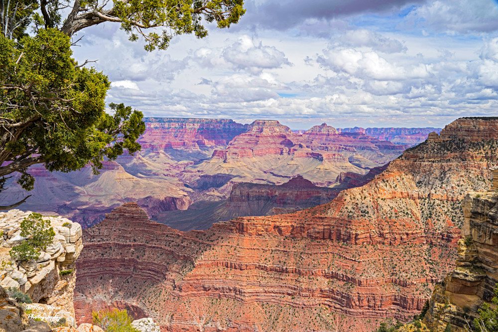 Yaki Point View Art | Ron Ware Photography