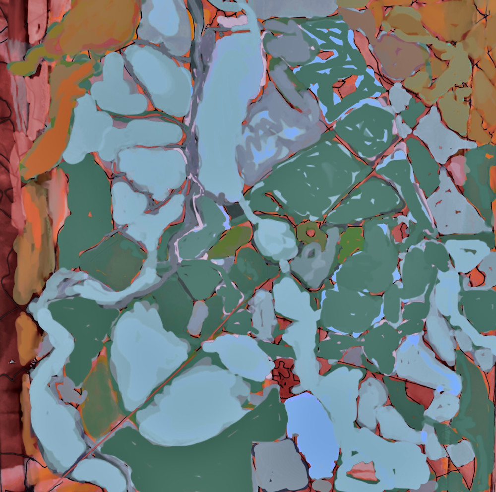 Nh Topo Series   Holderness Quadrangle Abstraction #4 Art | Peter Anderson Studio