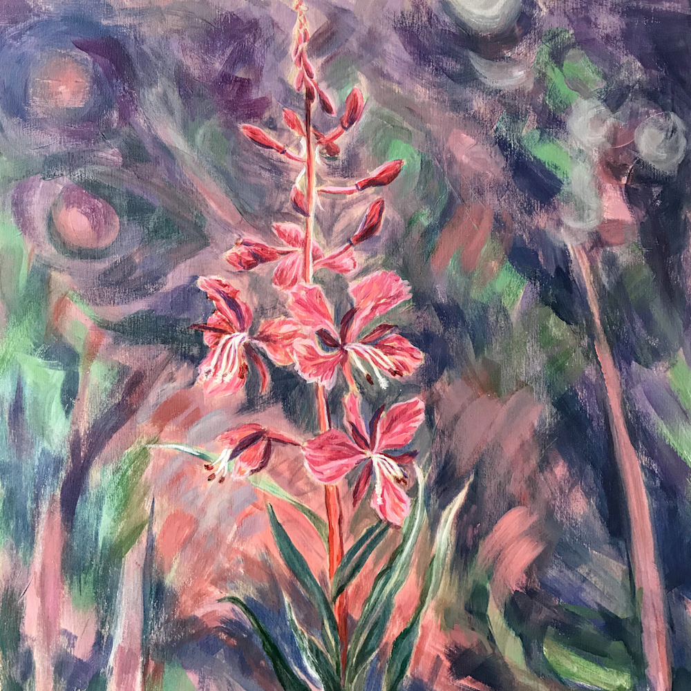 Jeannie's Fireweed  Art | Amanda Faith Alaska Paintings