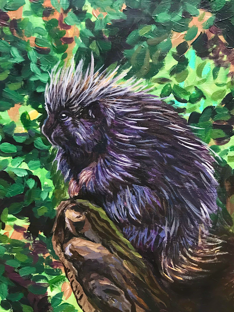 Porcupine Chillin’ Art | Amanda Faith Alaska Paintings / Estuary Arts, LLC