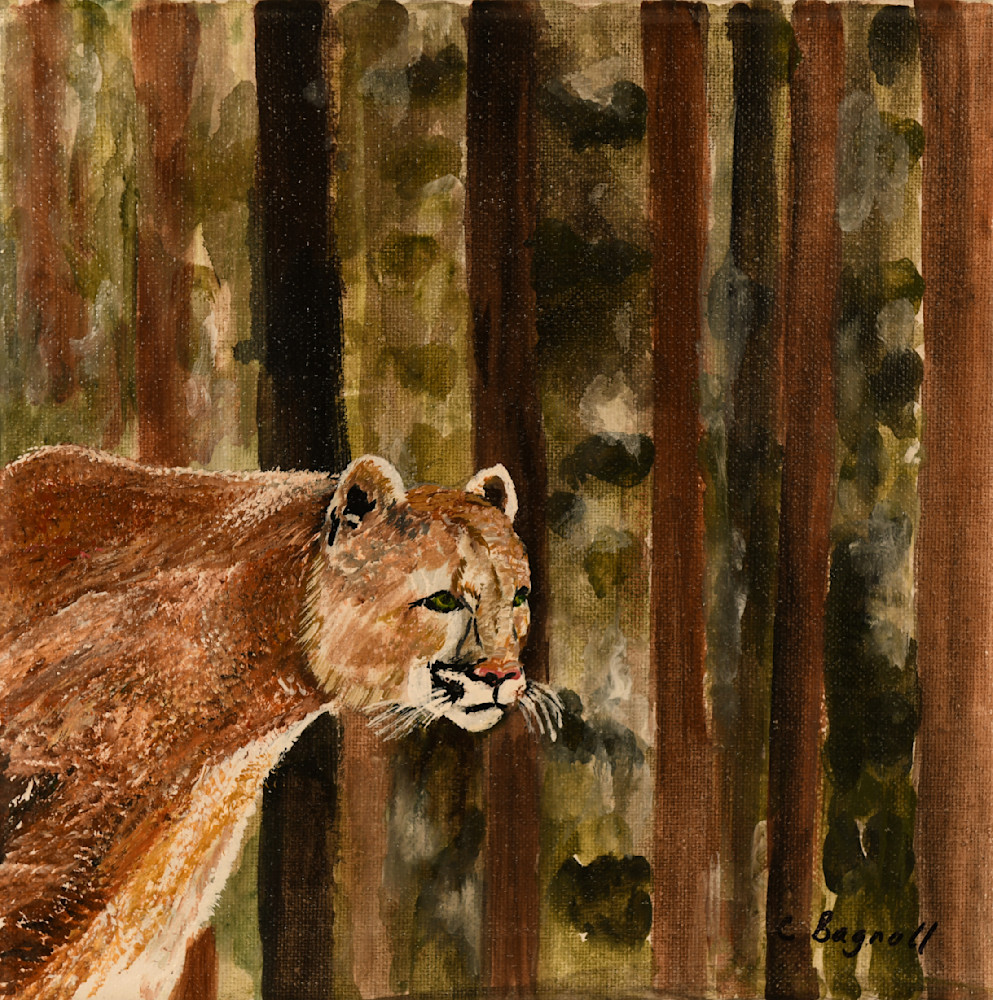 The Cougar Advances Art | Art Works Carolyn