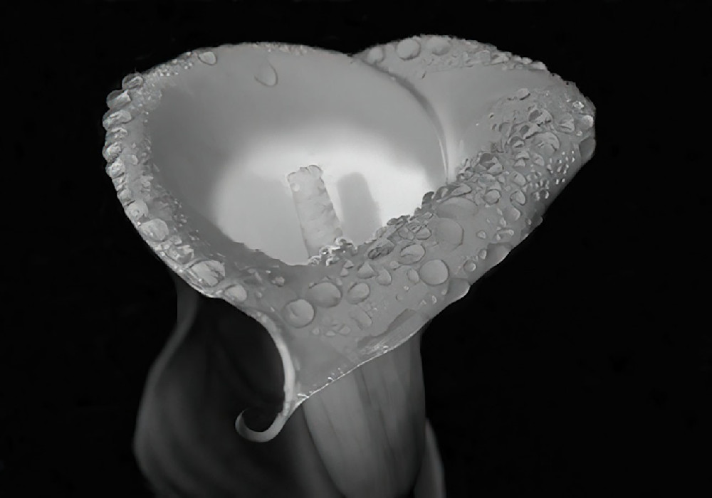 White Water Drops 4  Black And White  Photography Art | Photoeye Inc