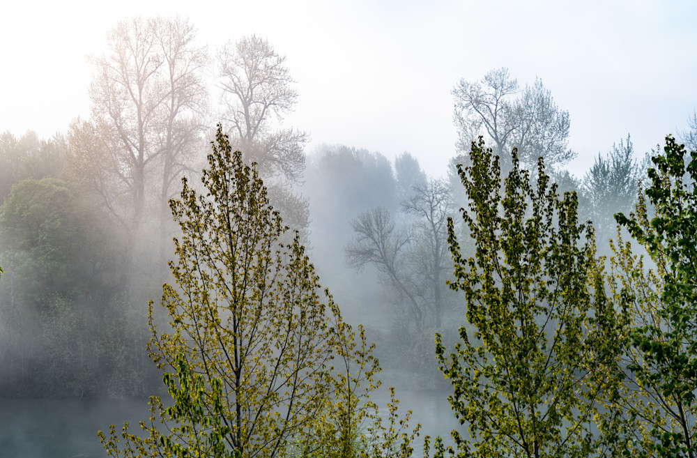 Misty Spring Morning On The Willamette River Photography Art | Peter T. Knight Photography