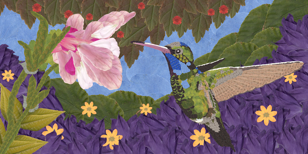 Hummingbird Art | smacartist