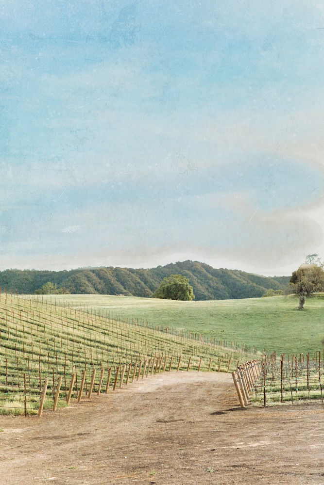 Paso Robles 3 Photography Art | Renae Smith Photography