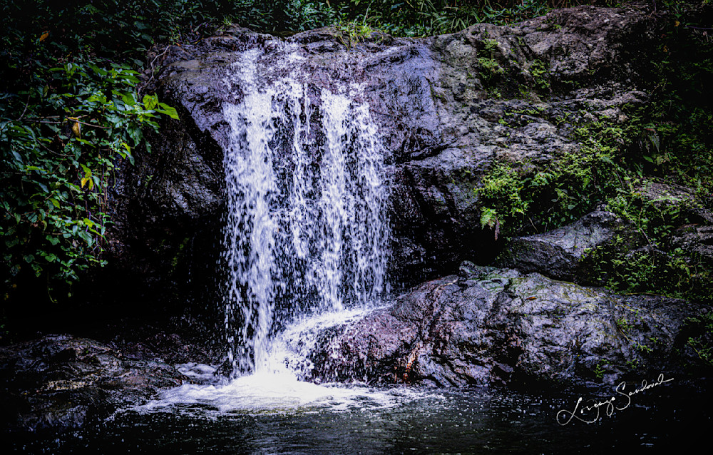 Puerto Rico Hidden Waterfall 