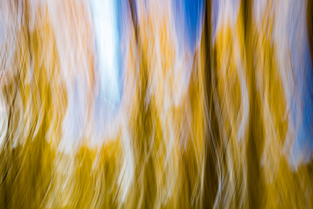Fall Colors Abstract Photograph | Chris Tucker Photography