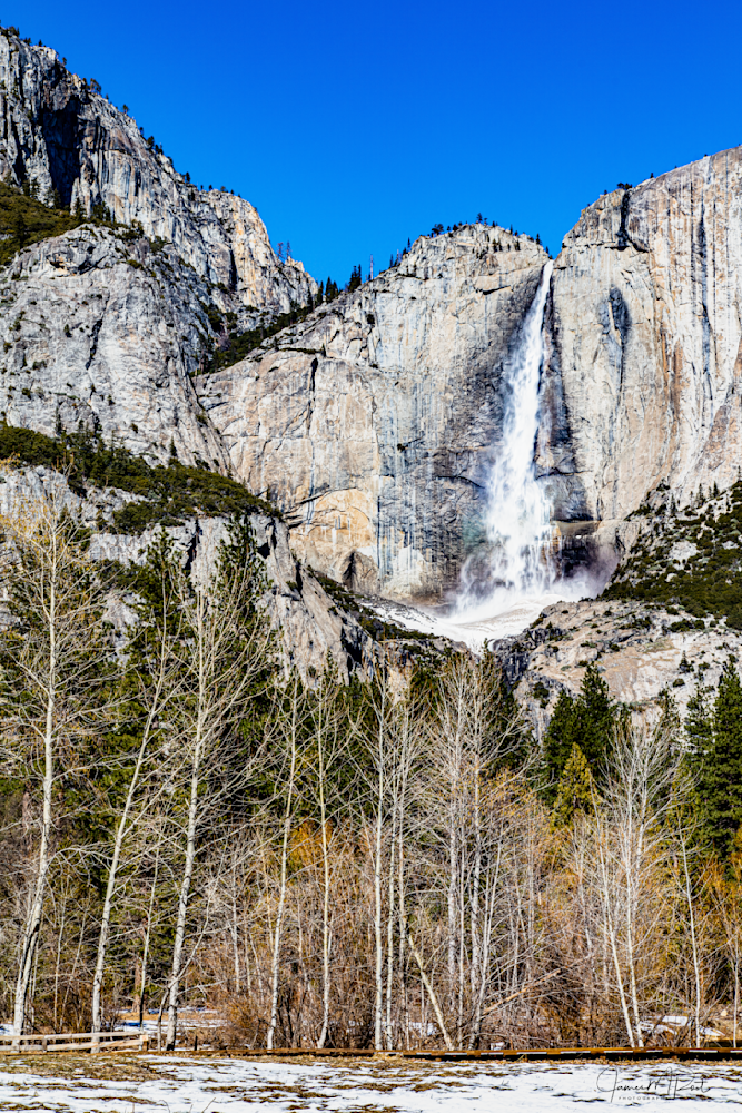 Lower Yosemite Falls  Art | JRootGallery.com