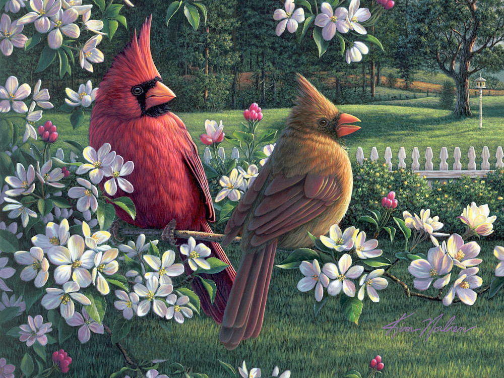 Spring Cardinals