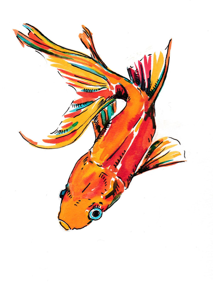 Goldfish #8 Art | jasonhancock