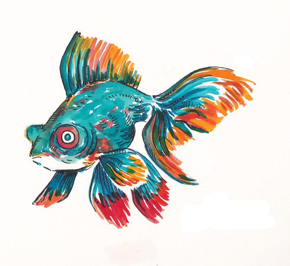 Goldfish #5  Art | jasonhancock