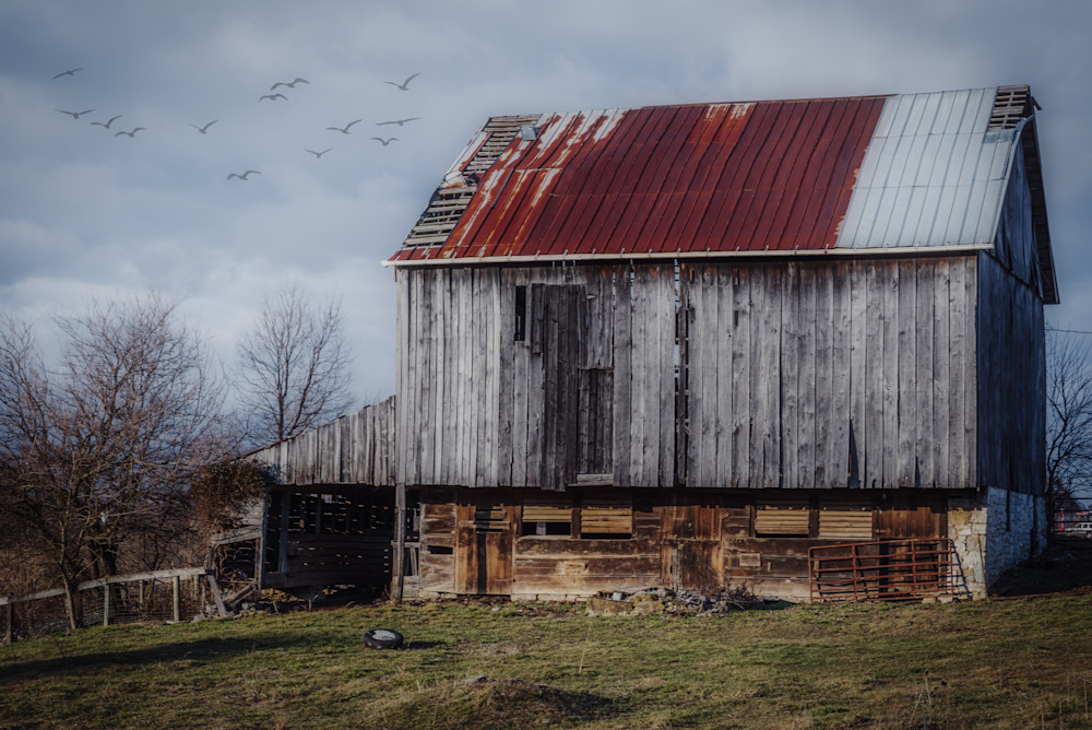 Deserted Barn | Susan J Photography, LLC