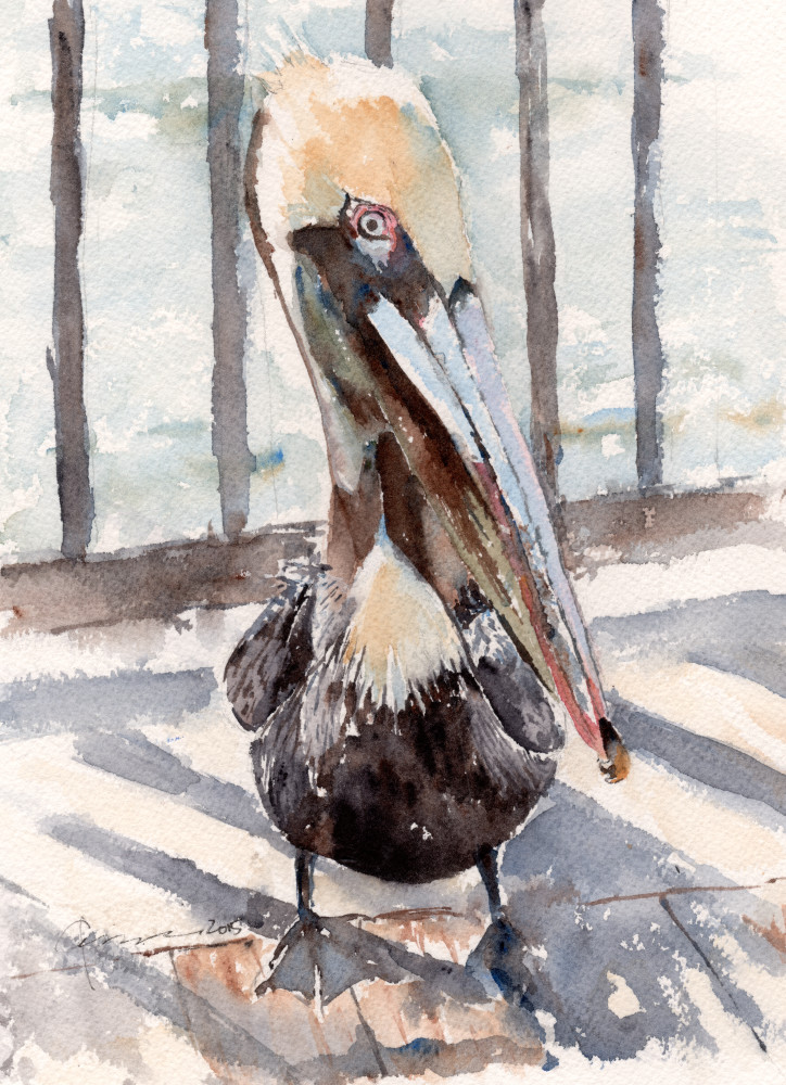 Pelican Pose Watercolor Print | Claudia Hafner Watercolor

