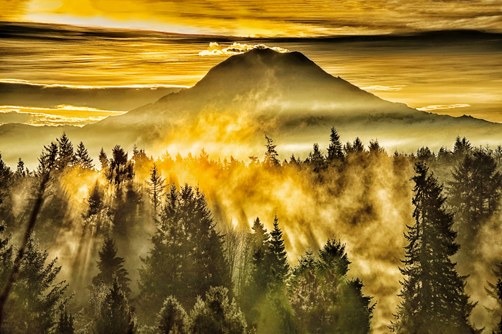 Mt Rainier Golden Sunrise  Art | Trinda Love Artist/Photographer