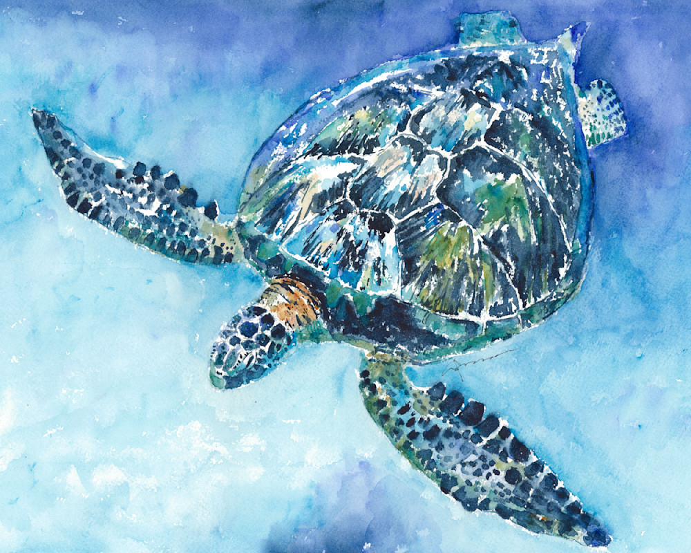 Sea Turtle 21 Watercolor Print | Claudia Hafner Watercolor