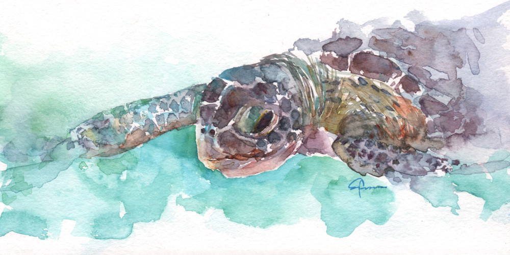 Sea Turtle 2 Watercolor Print | Claudia Hafner Watercolor