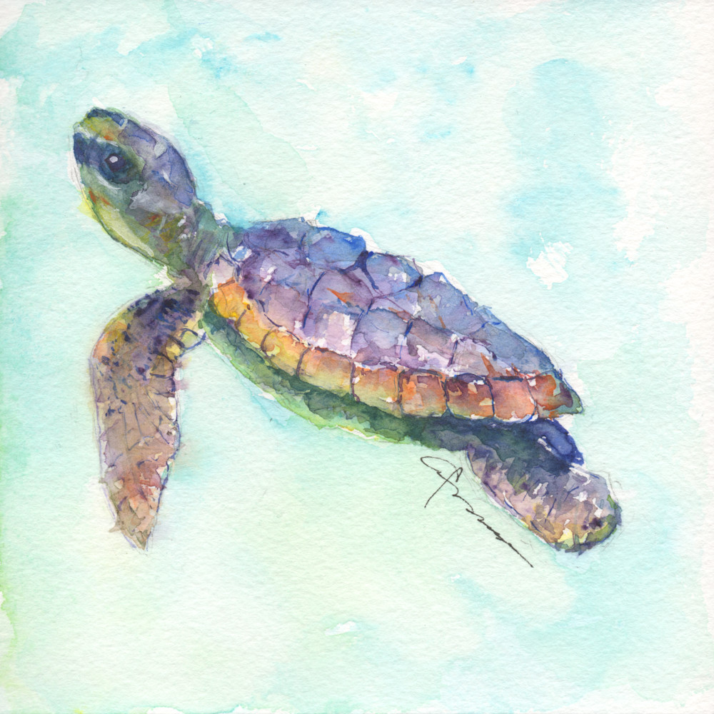 Sea Turtle 28 Watercolor Print | Claudia Hafner Watercolor