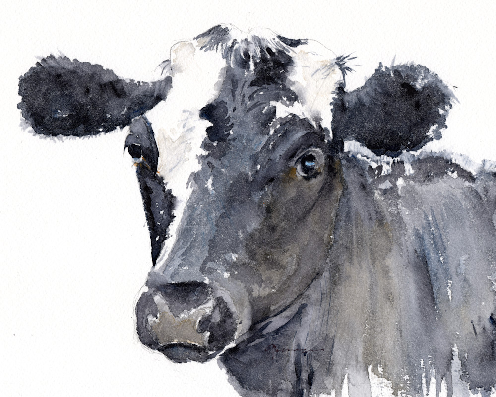 Black Cow Watercolor Print | Claudia Hafner Watercolor

