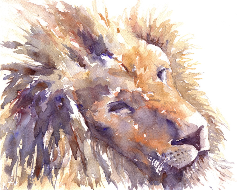 Lion Watercolor Print | Claudia Hafner Watercolor

