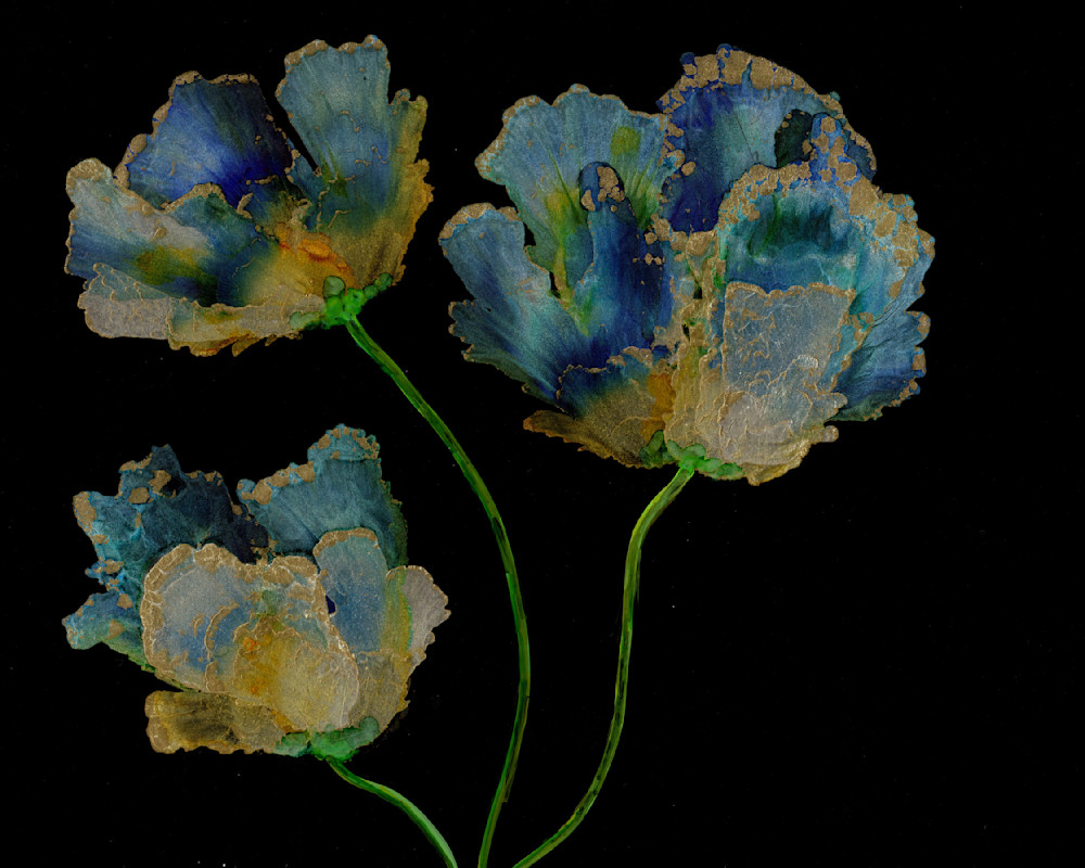 Midnight Blooms Art | Art by Virginia Crowe