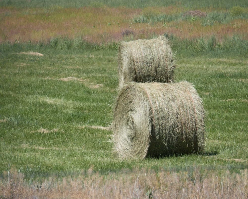 Midwest Rolls of Hay- Farm House Decor 
