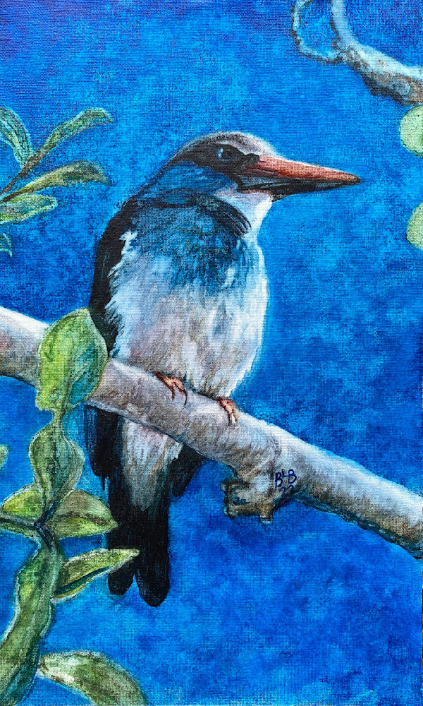 Blue Breasted Kingfisher Art | Blissful Bonita Art Studio & Gallery