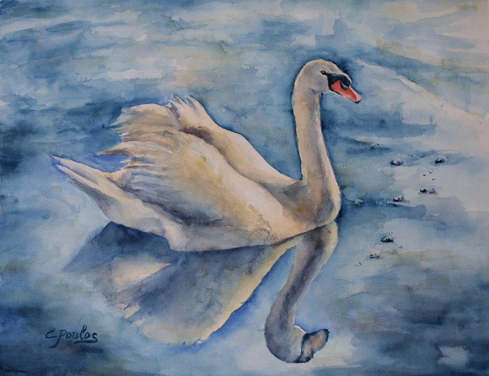 Majestic Swan Art | Cathy Poulos Art