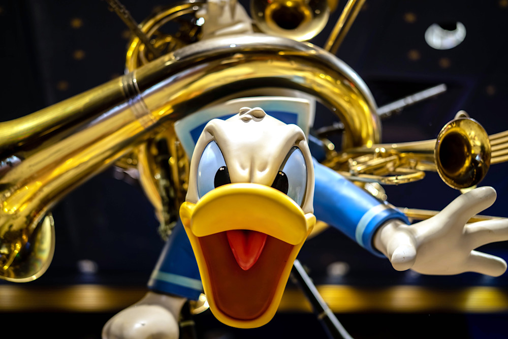 大阪買蔵Disney Donald Duck Photograph トニーアンセルモ 額縁