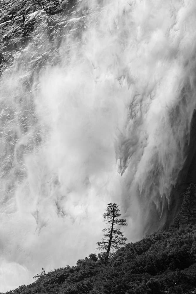 Lone Tree, Yosemite Falls Art | Leiken Photography
