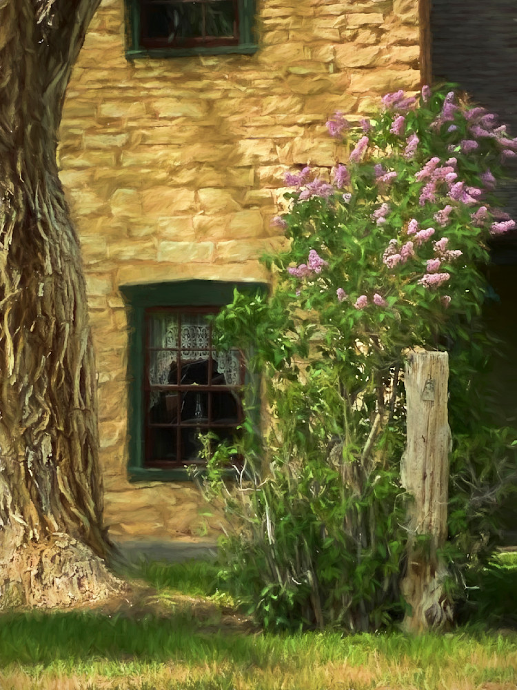Lilacs and Lacy Window
