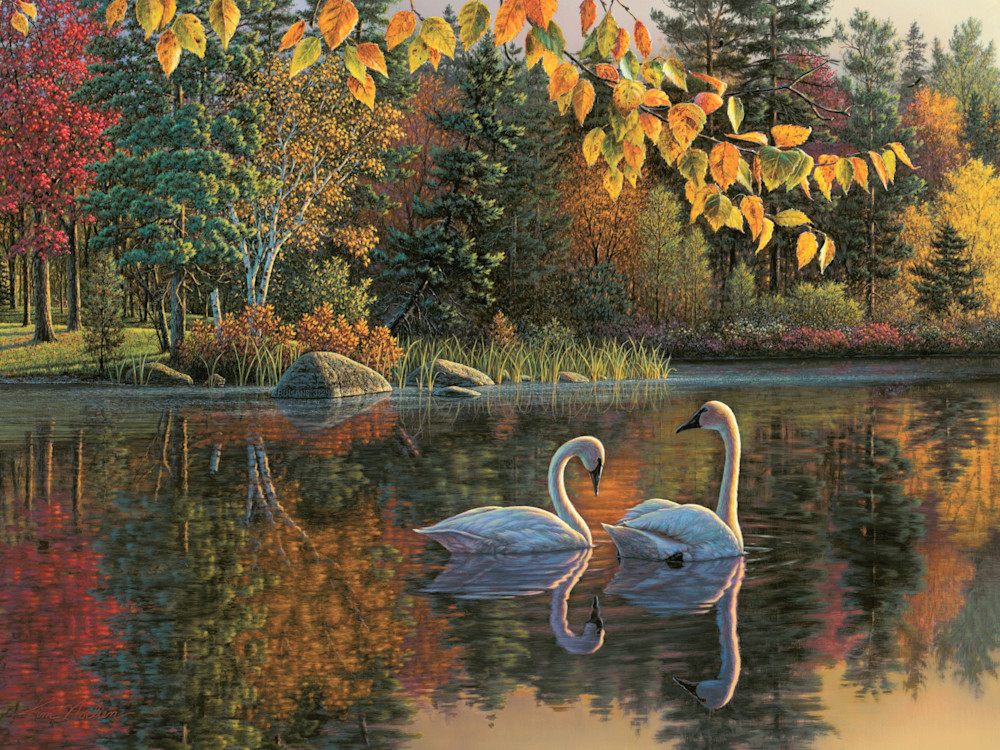 Autumn Swans Print