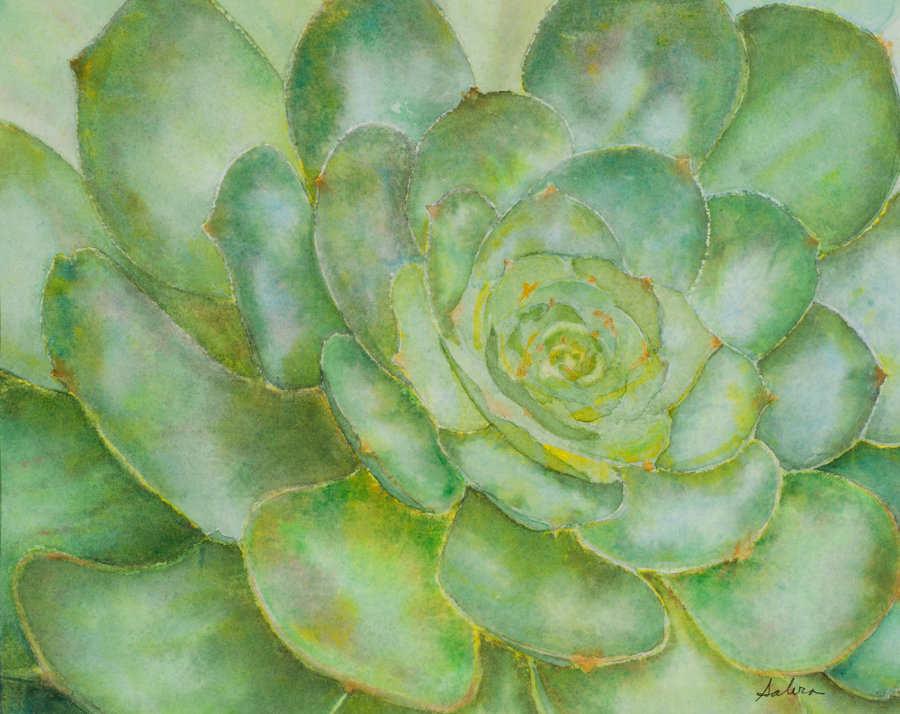 Succulent Art | Sabra's Art