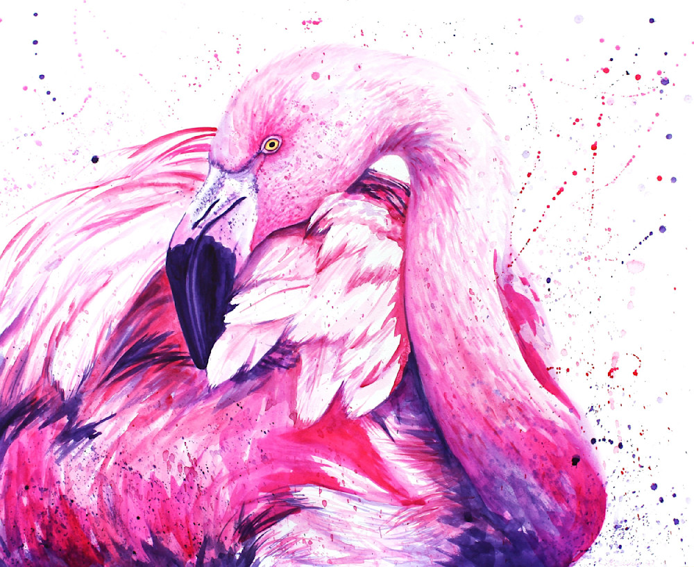 Animal Prints - Flashy Flamingo