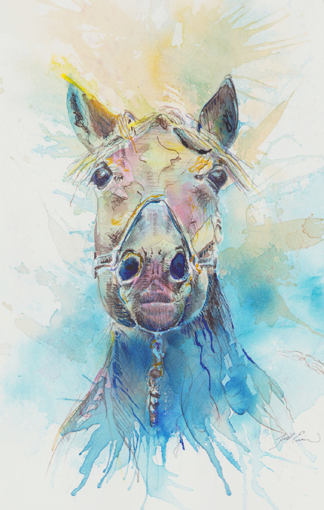 Horse Art | Jill Evans art + design