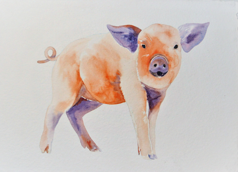 Mug of a watercolor pig