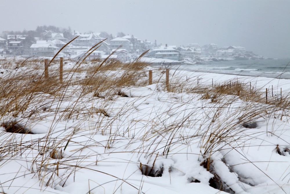 Winter Is Here Photography Art | Muriel Newey Photography