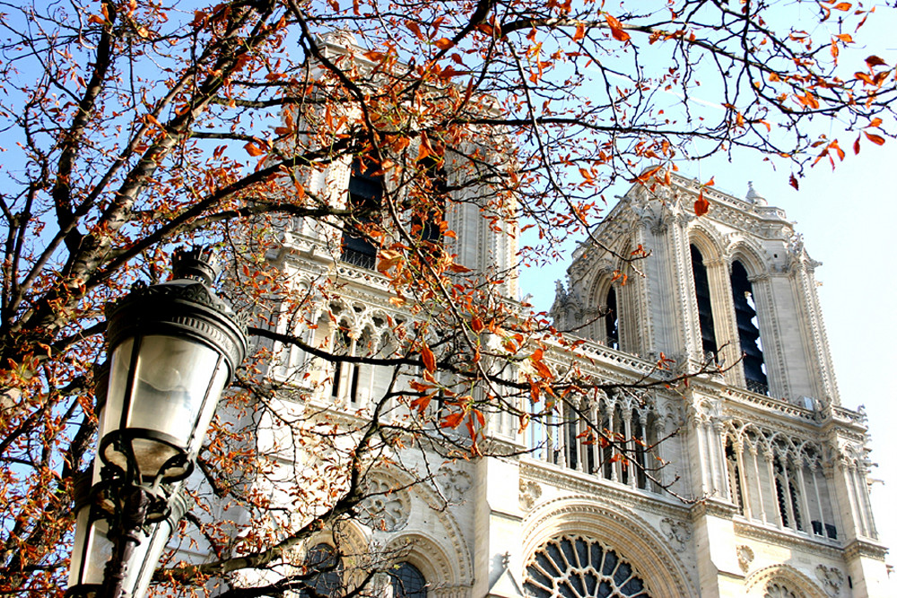 Notre Dame De Paris Photography Art | Muriel Newey Photography