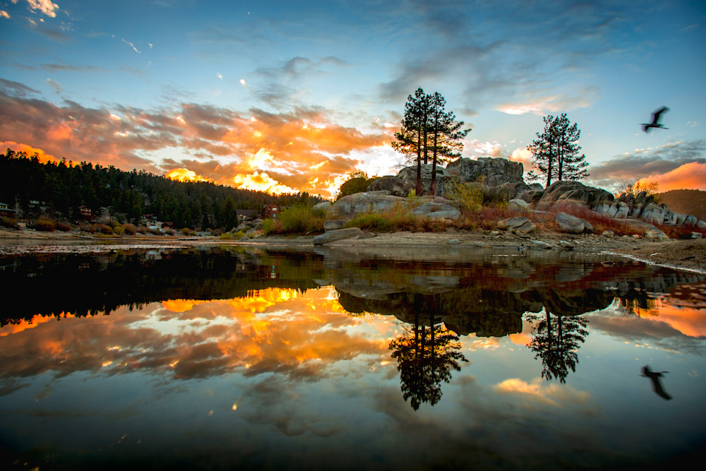 Boulder Bay Sunset Flying Heron Photography Art | Eric Reed Photography
