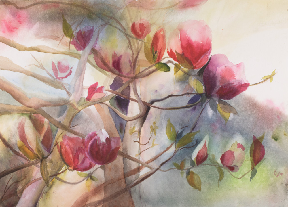 Magnolias 01 Art | patriciacherry
