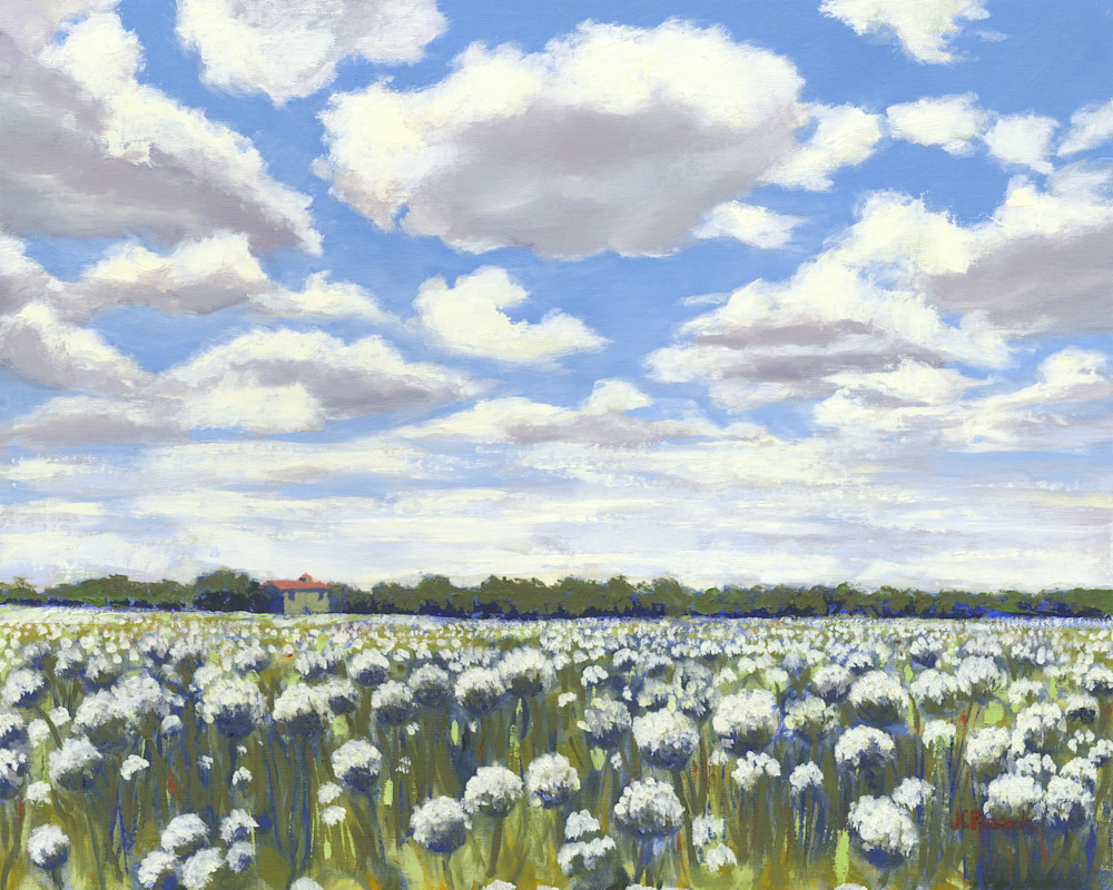 It's A Beautiful Day: Onion Pods Art | Jane Peacock Art Studio dba Peacock Fine Art