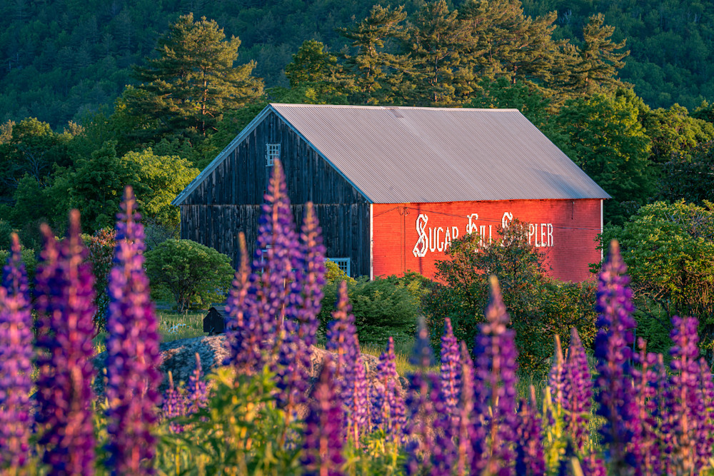 Sugar Hill, New Hampshire Photography Art | Jeremy Noyes Fine Art Photography