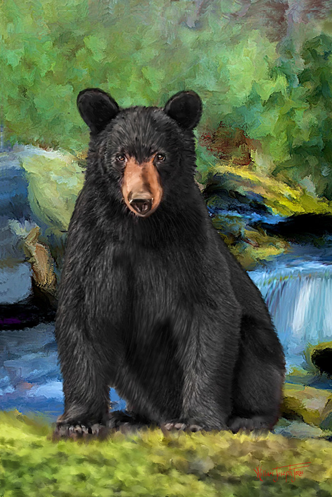 The Bear Art | Foothills Mercantile Co